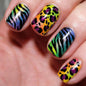 Leopard Press on Nails Medium Square Glossy Black Fake Nails