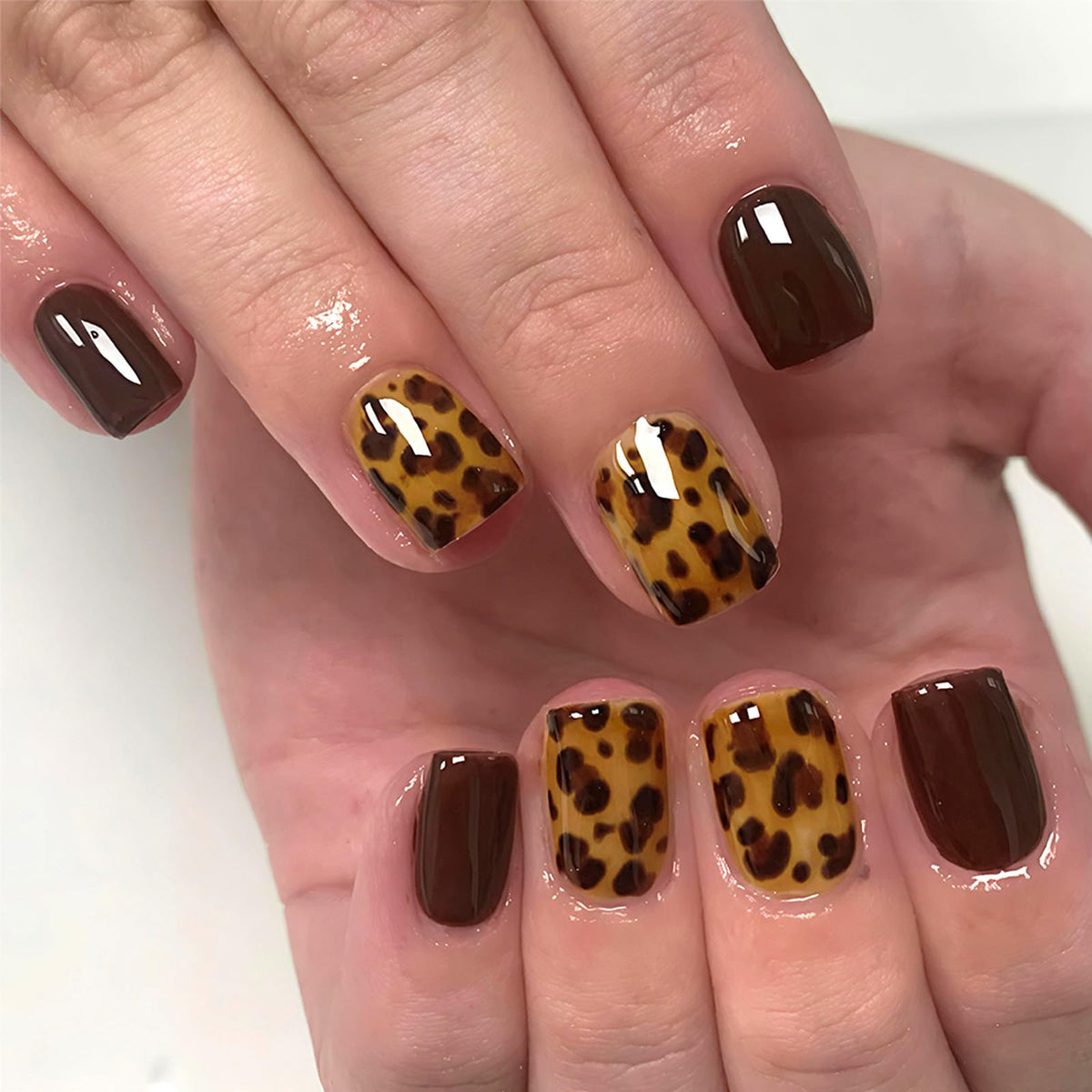 Leopard Press on Nails Medium Square Glossy Black Fake Nails