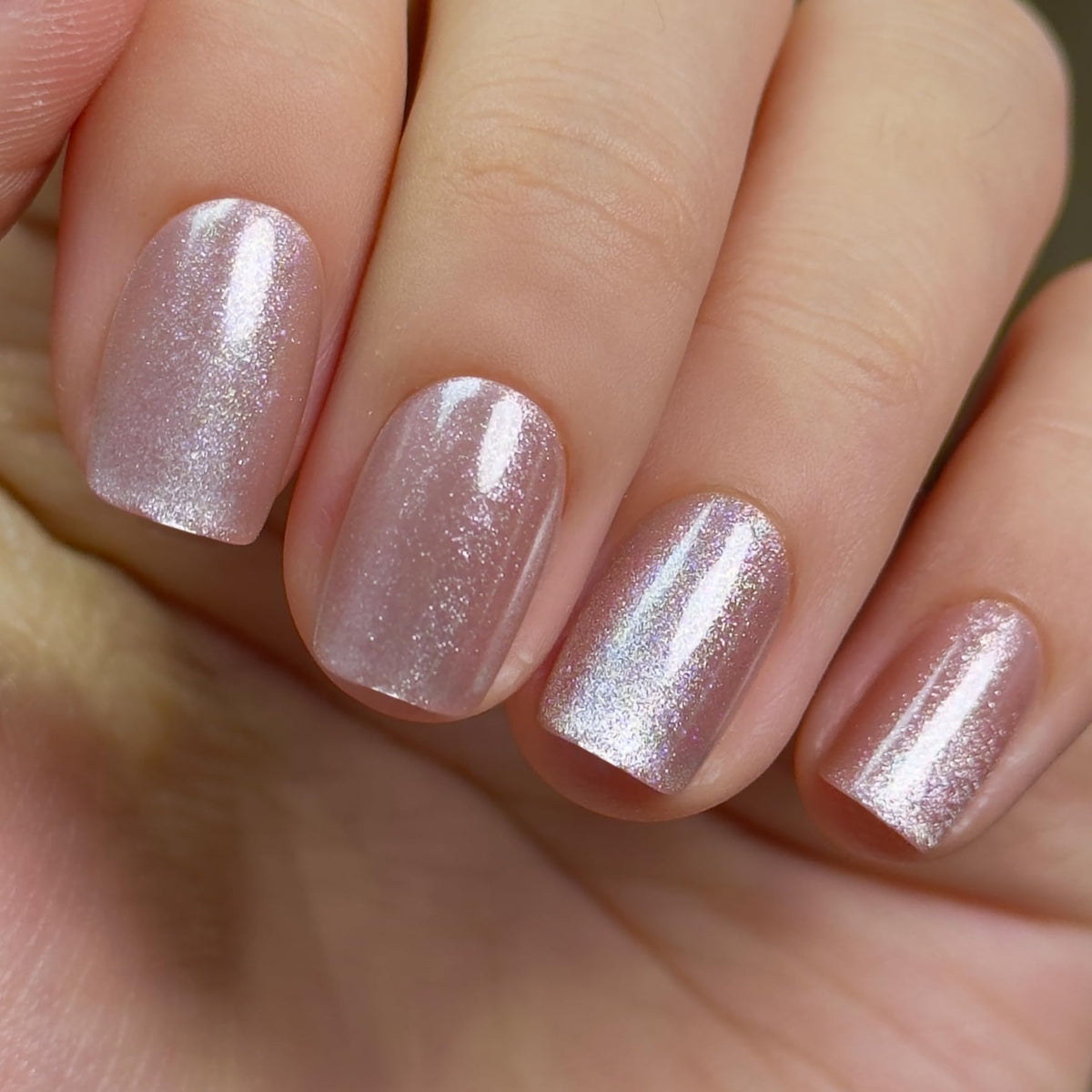CurvLife Short Square Burgundy Press On Nails, Fall Dark red
